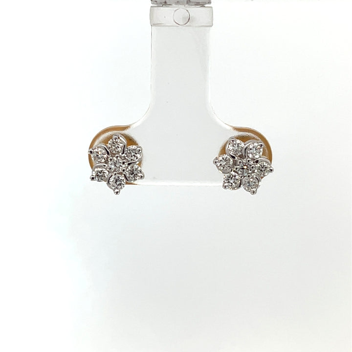 Nakshatra Earring