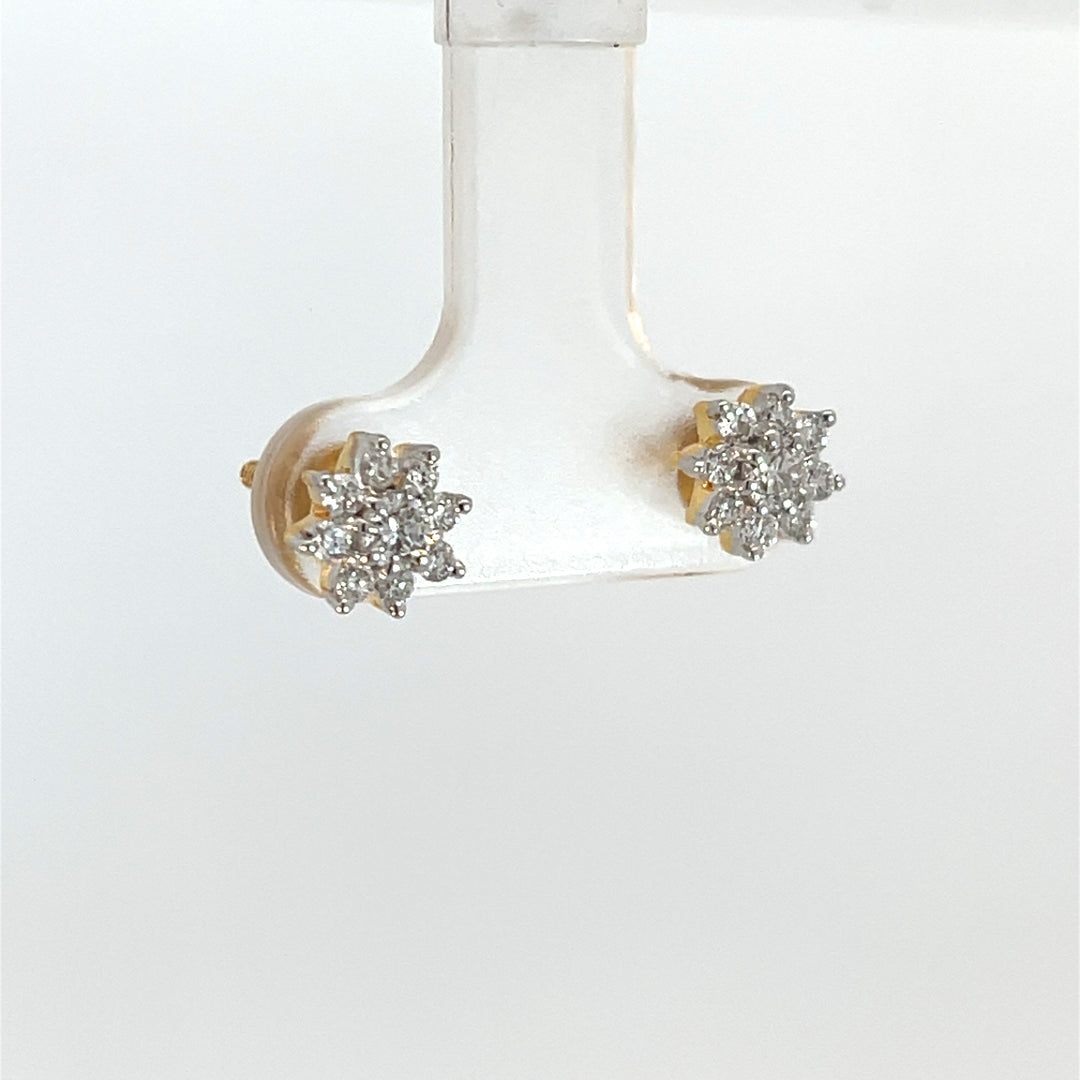 Nakshatra Earring
