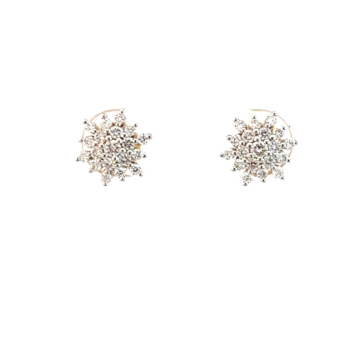 Nakshatra Earring