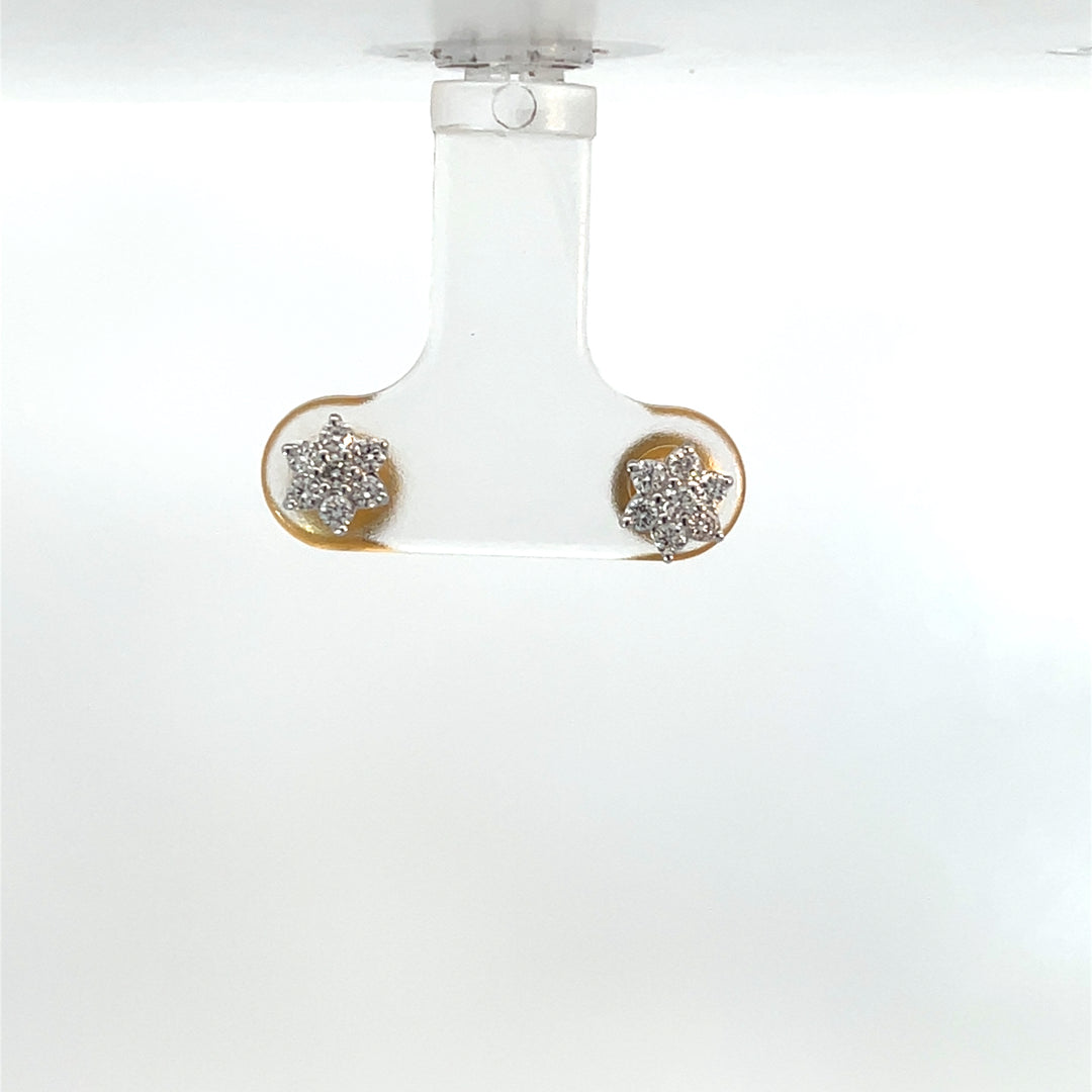 Nakshatra Earring