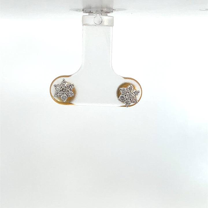Nakshatra Earring