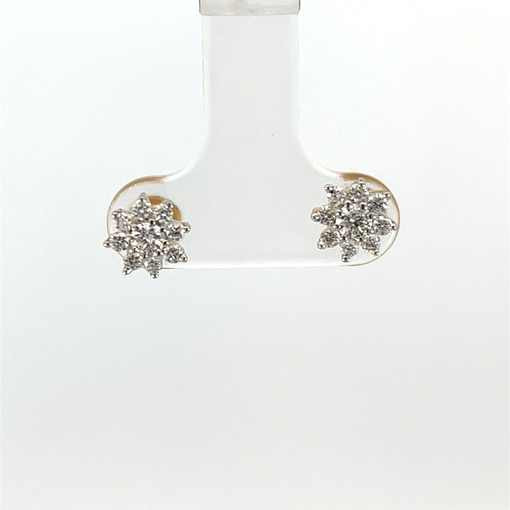 Nakshatra Earring