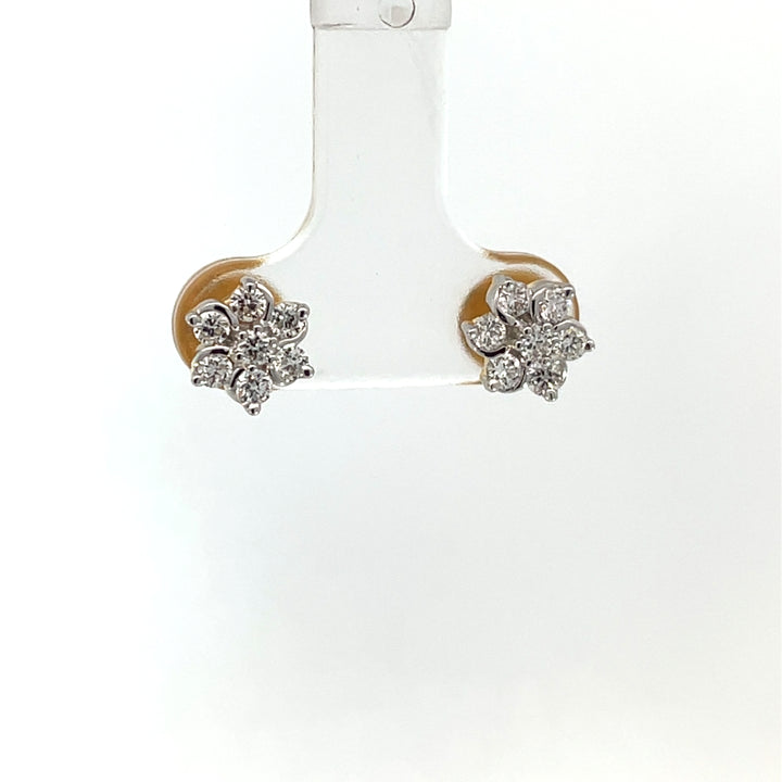 Nakshatra Earring