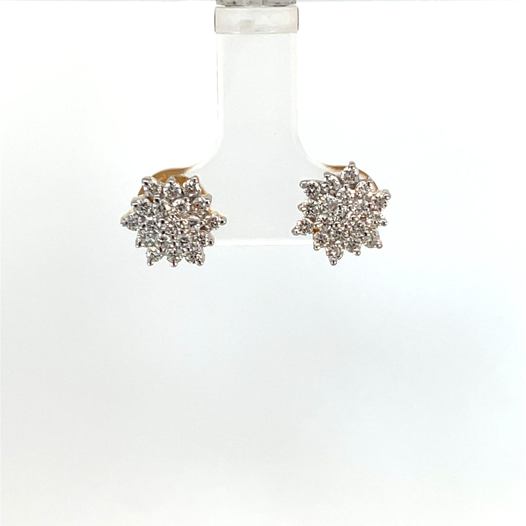 Nakshatra Earring