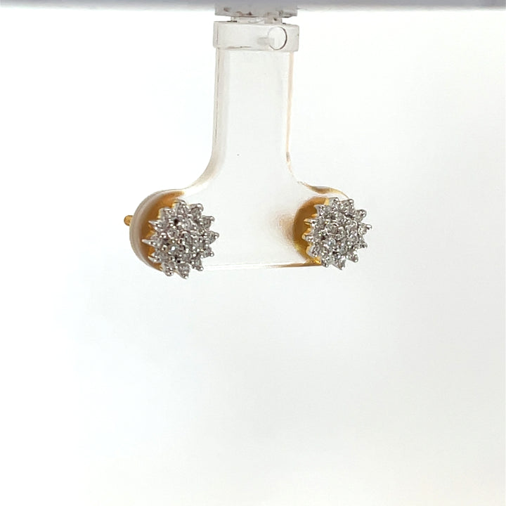 Nakshatra Earring