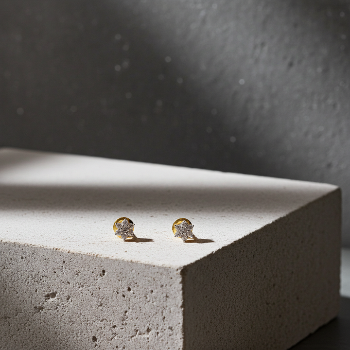 Nakshatra Earring