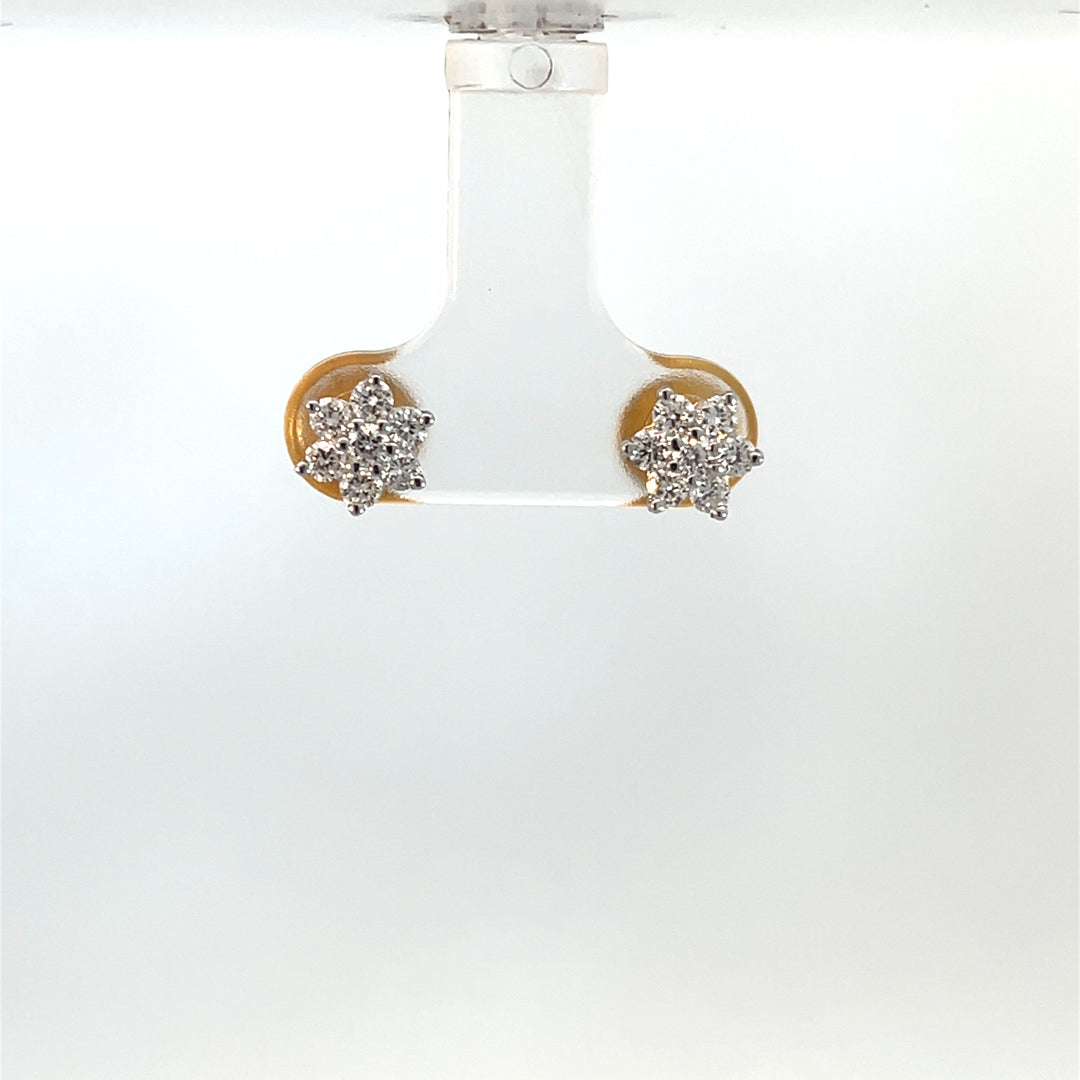 Nakshatra Earring