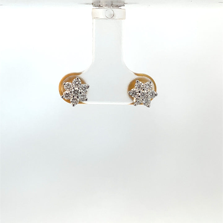 Nakshatra Earring