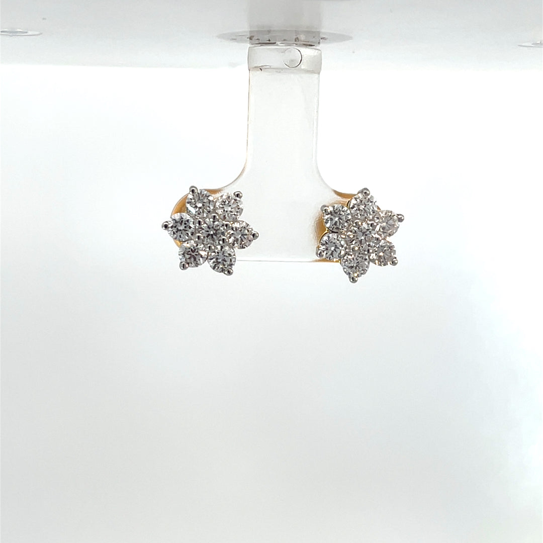 Nakshatra Earring