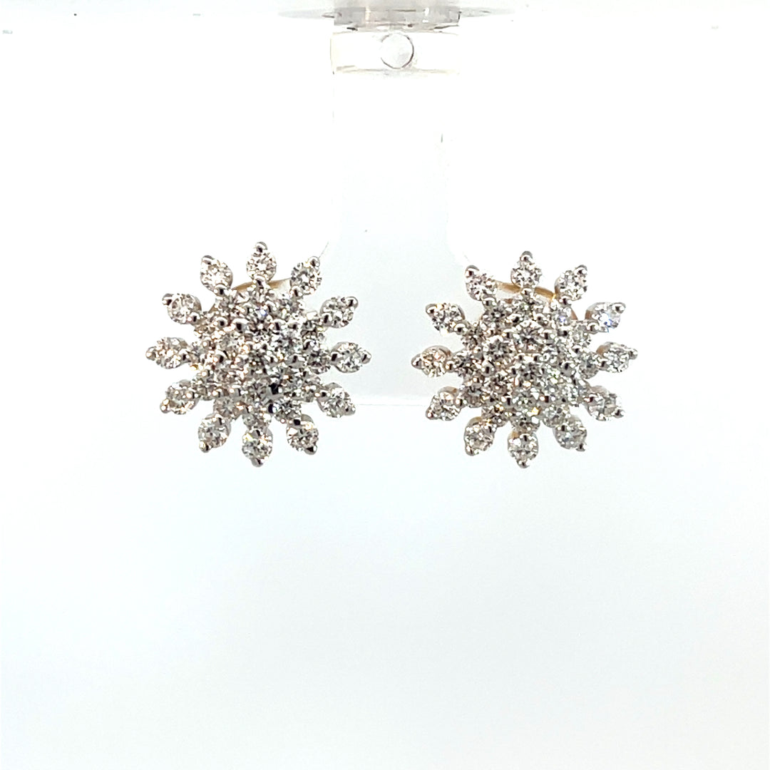 Nakshatra Earring