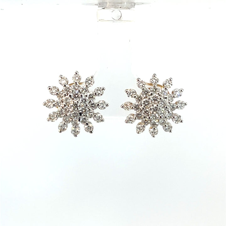 Nakshatra Earring