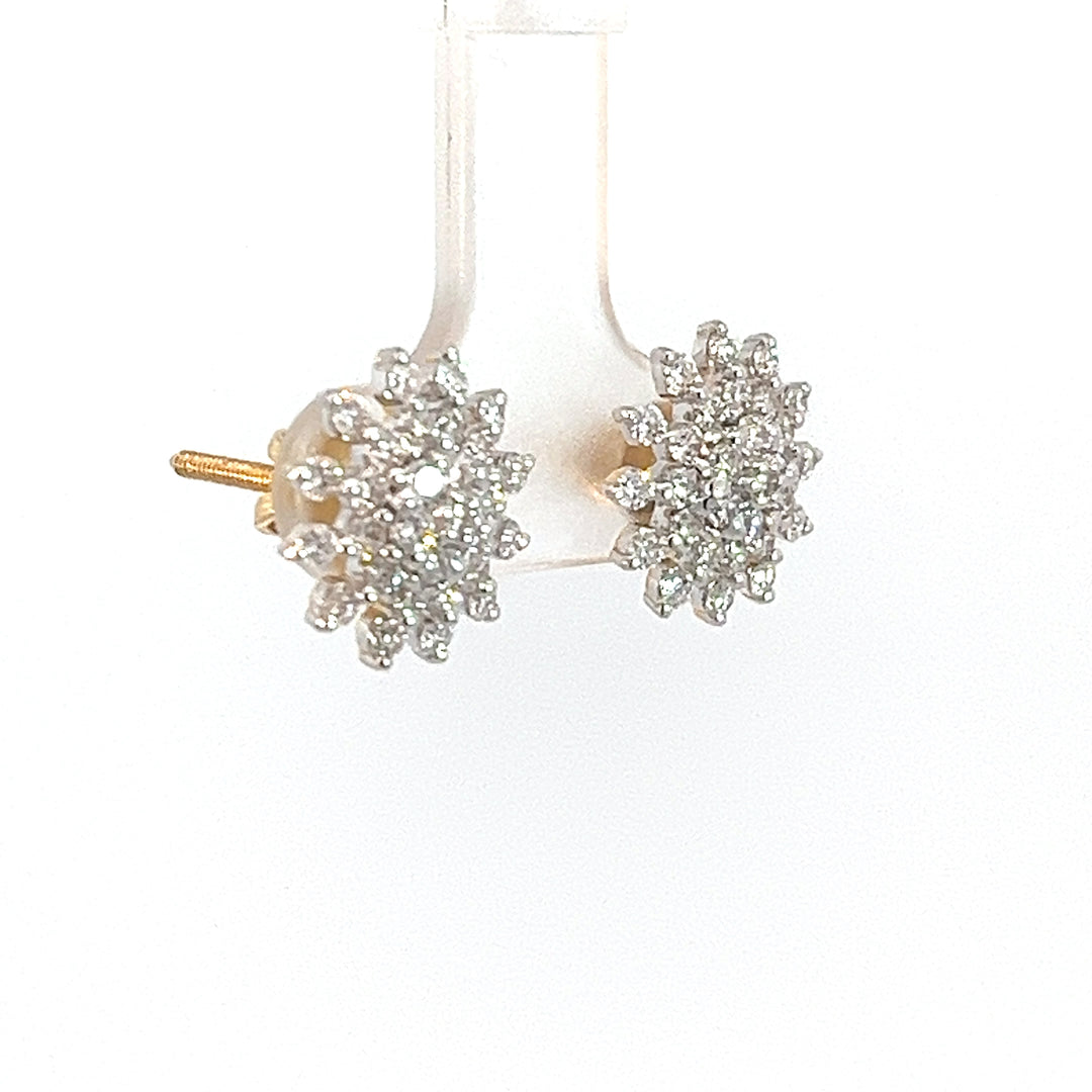 Nakshatra Earring