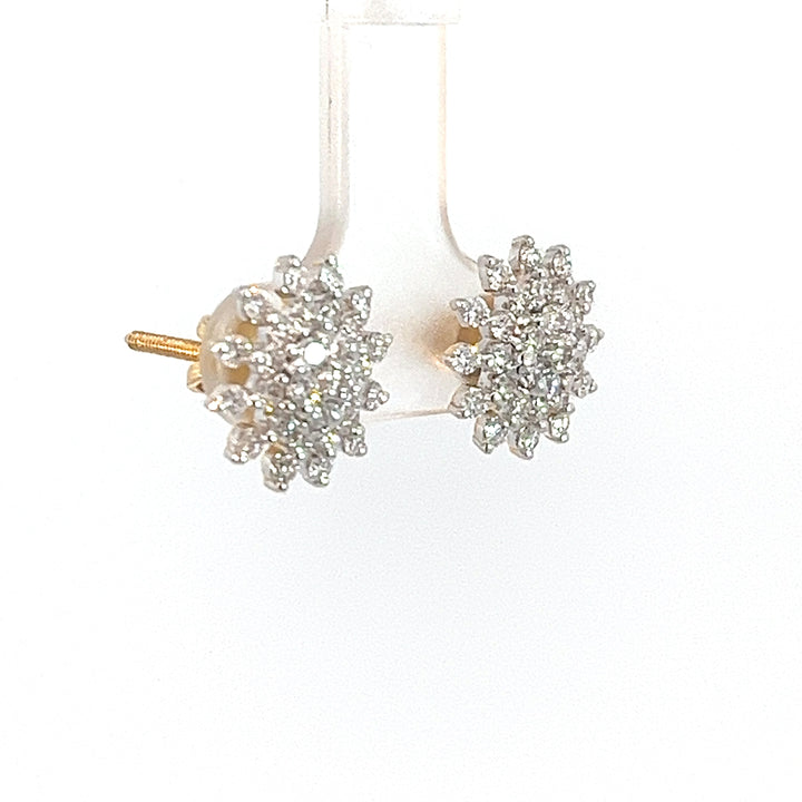 Nakshatra Earring