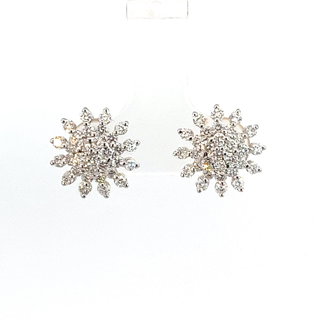 Nakshatra Earring