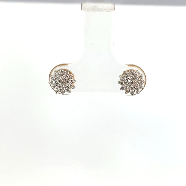 Nakshatra Earring