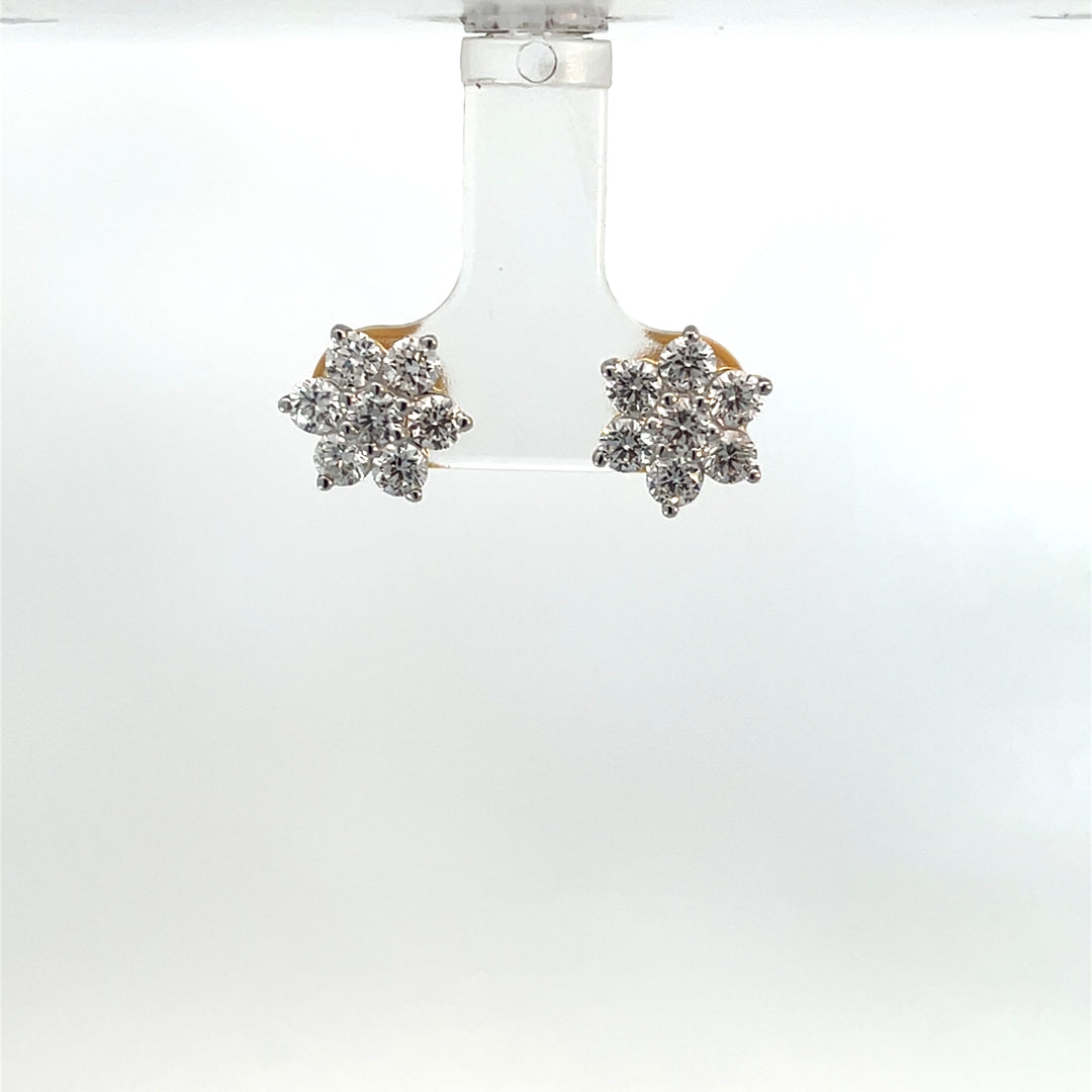 Nakshatra Earring
