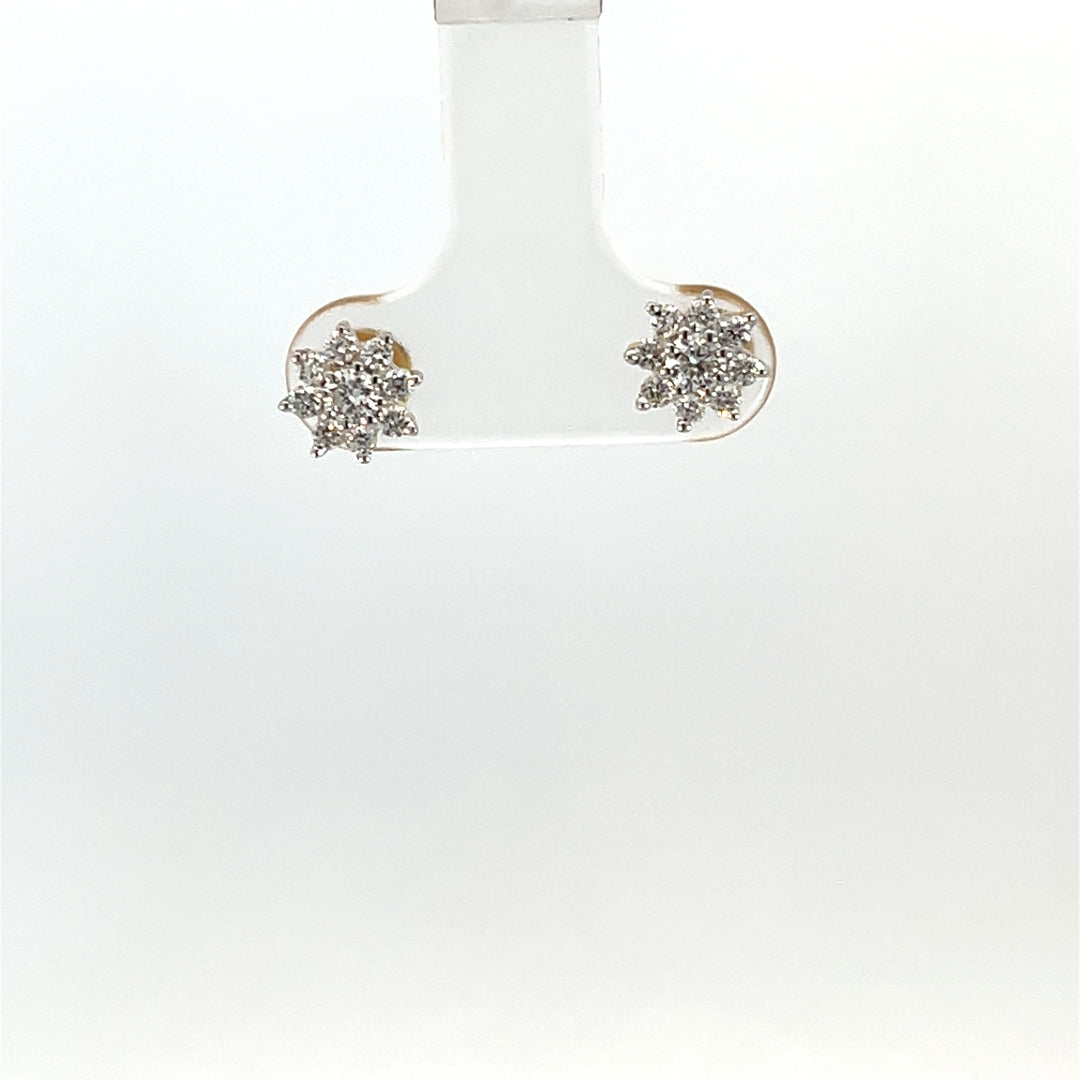 Nakshatra Earring