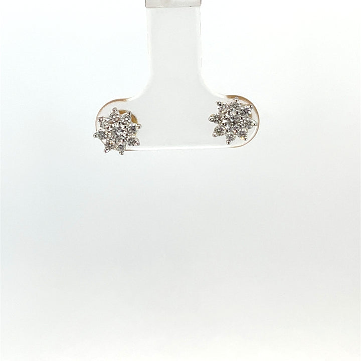Nakshatra Earring