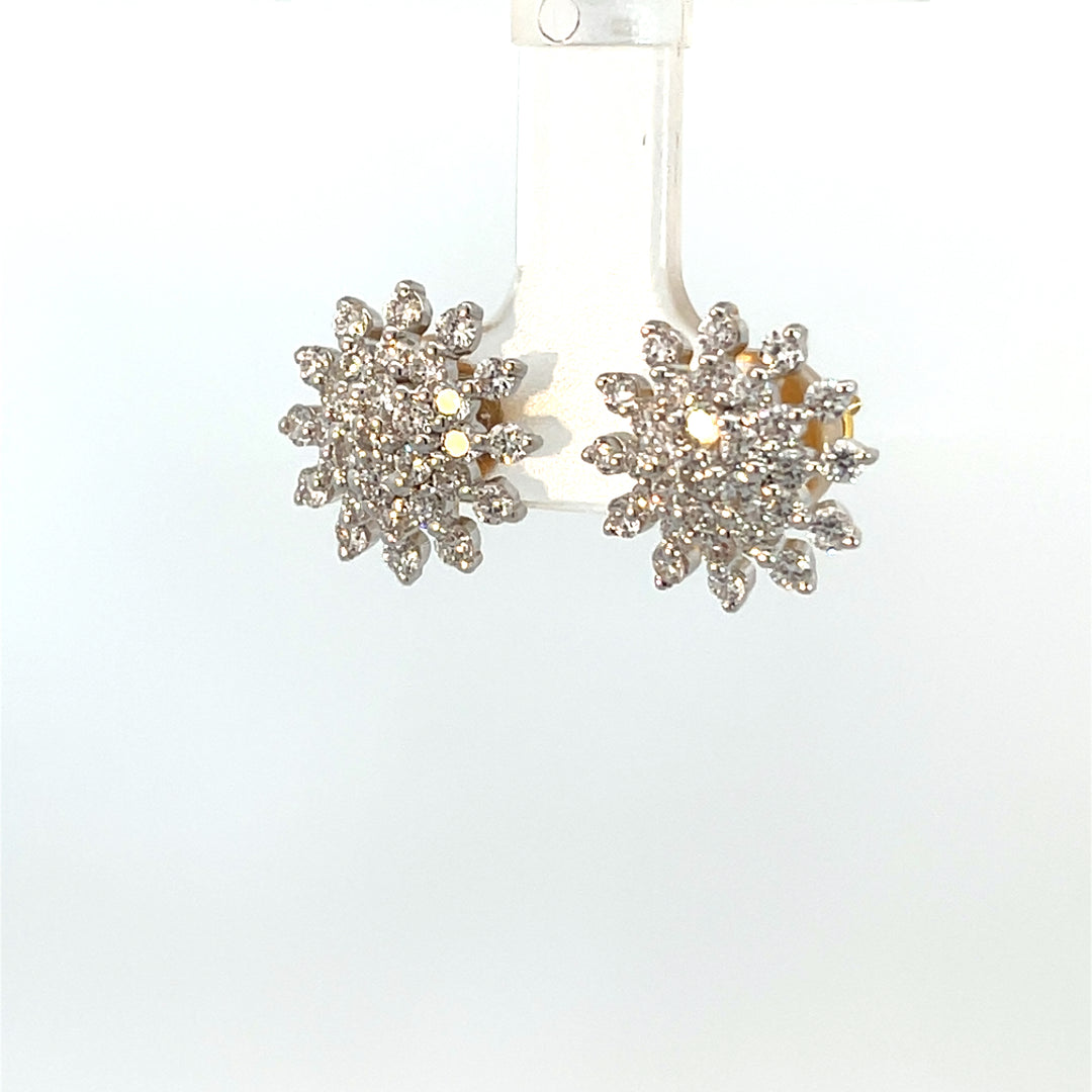 Nakshatra Earring