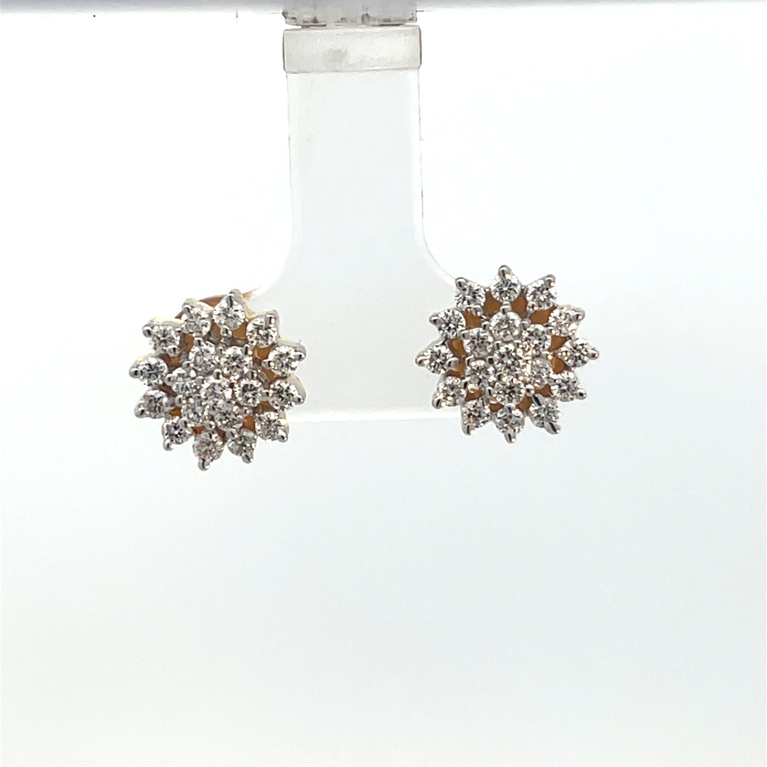 Nakshatra Earring