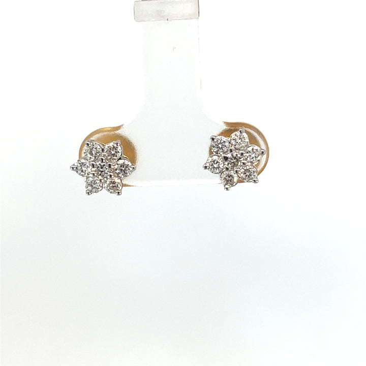 Nakshatra Earring