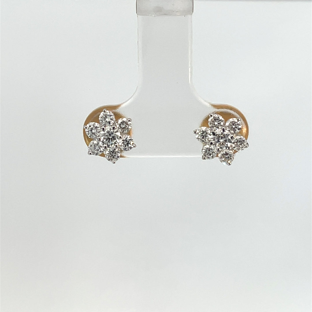 Nakshatra Earring