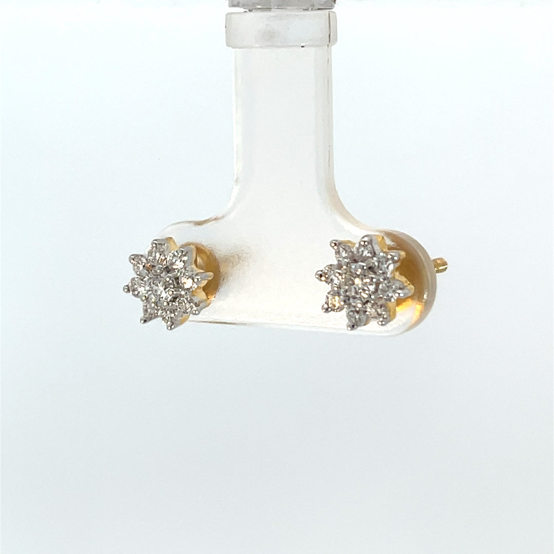 Nakshatra Earring