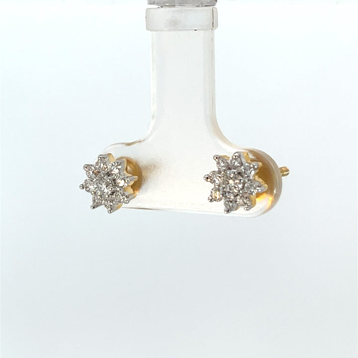 Nakshatra Earring
