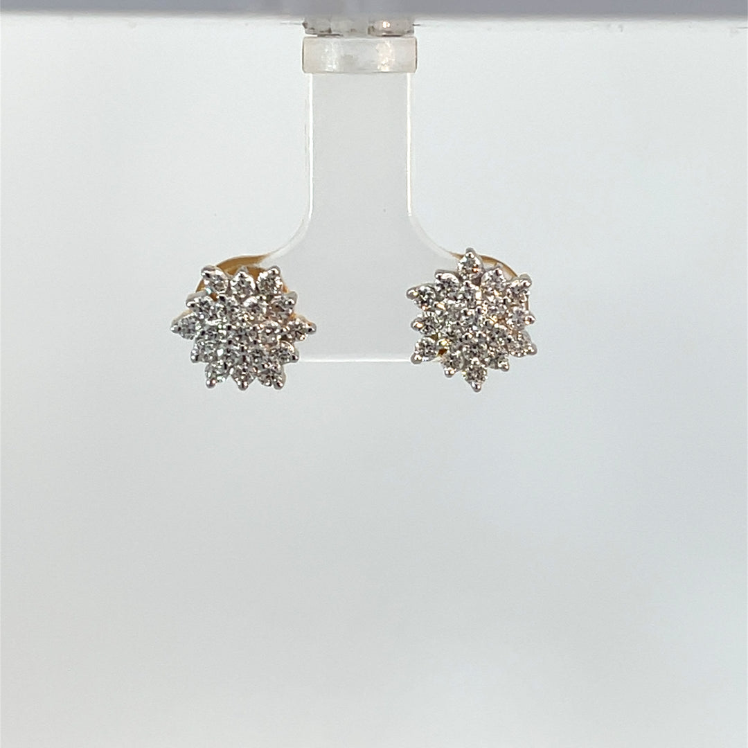 Nakshatra Earring