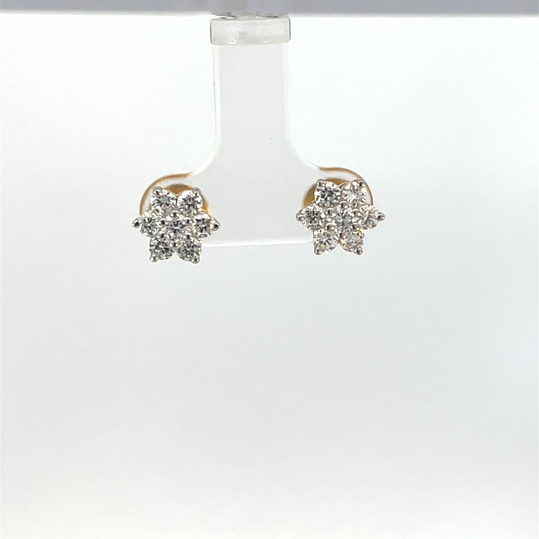 Nakshatra Earring