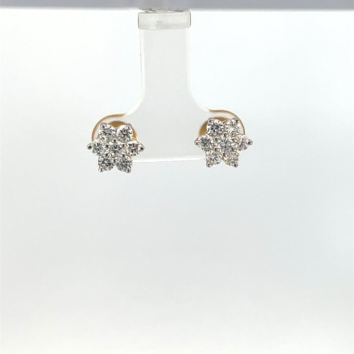 Nakshatra Earring