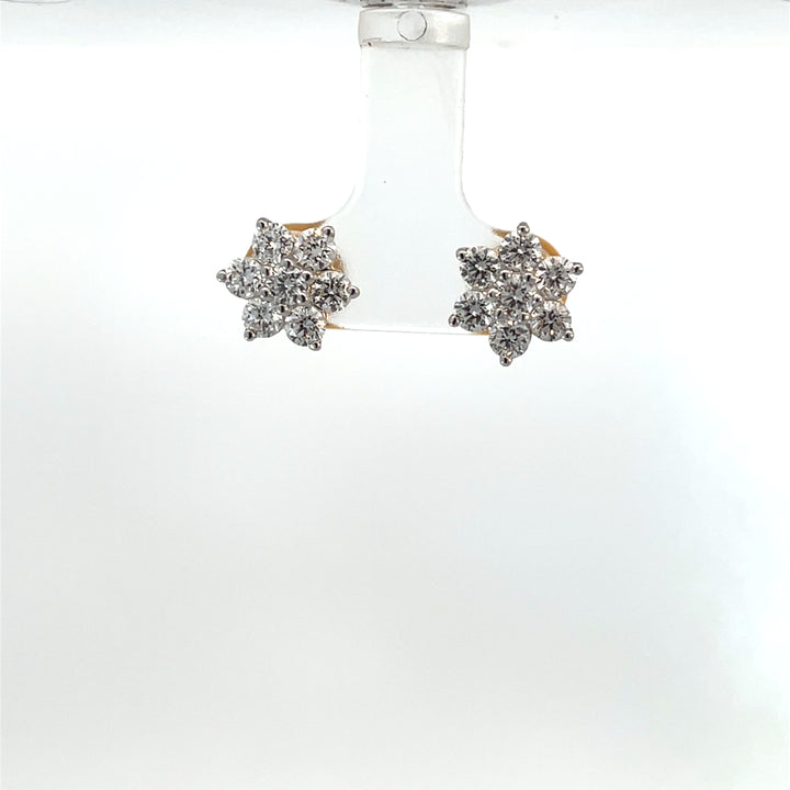 Nakshatra Earring