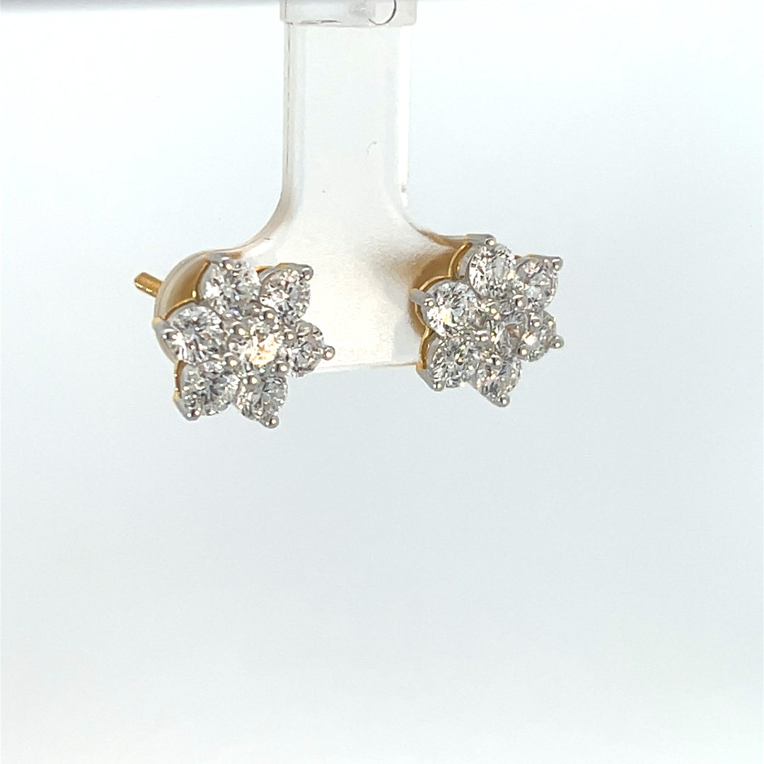 Nakshatra Earring