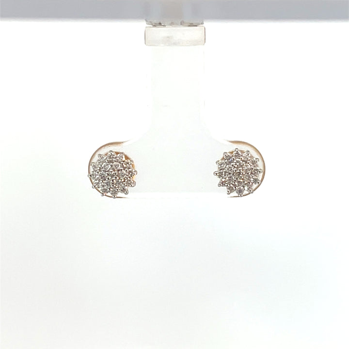 Nakshatra Earring