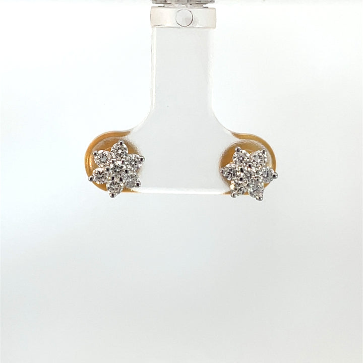 Nakshatra Earring