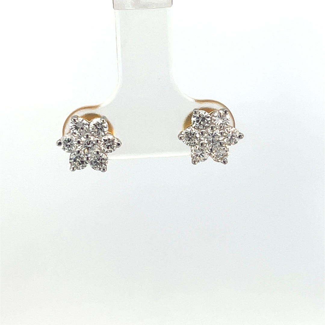 Nakshatra Earring