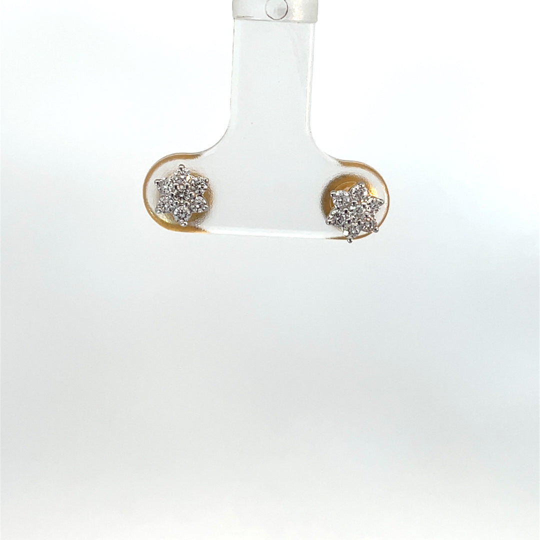 Nakshatra Earring