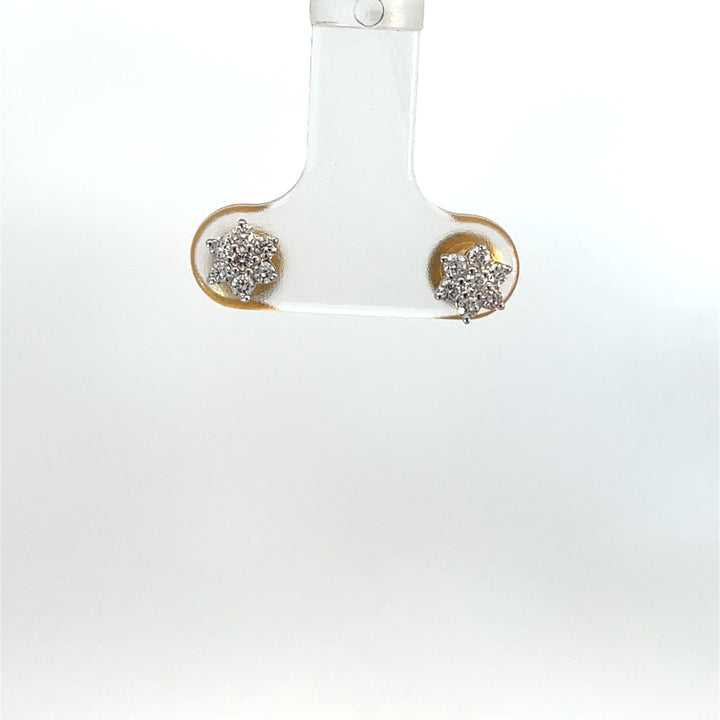 Nakshatra Earring