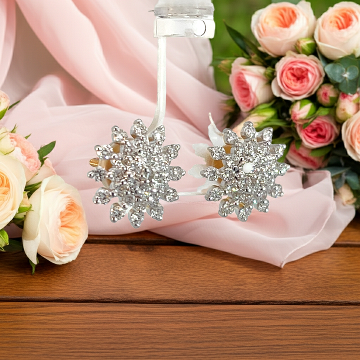 Nakshatra Earring