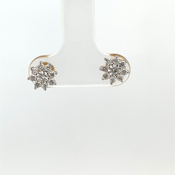 Nakshatra Earring