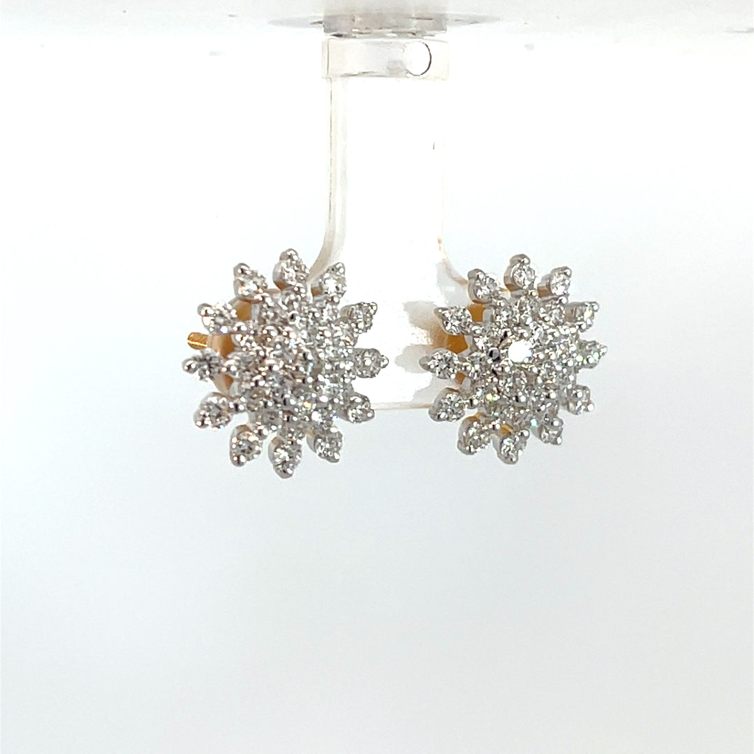Nakshatra Earring