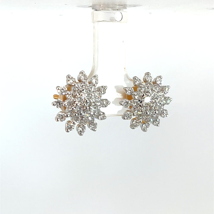 Nakshatra Earring