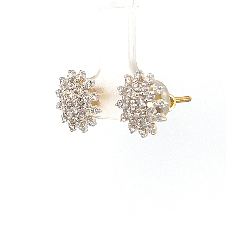 Nakshatra Earring