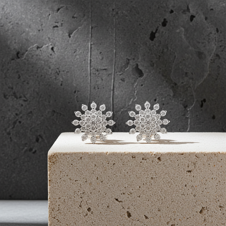 Nakshatra Earring