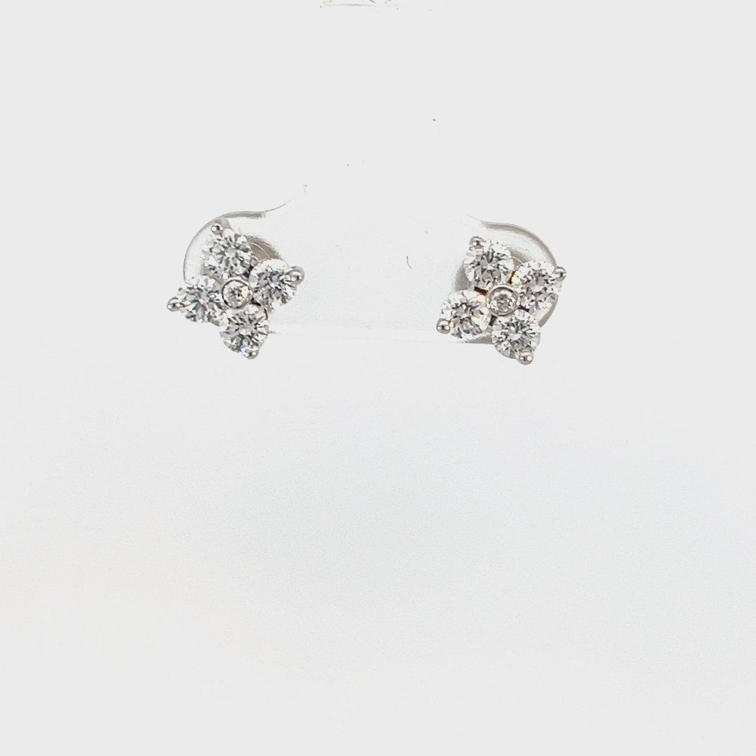 Everyday Elegance Earring